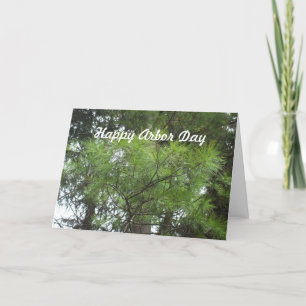 Carte Jour-arbres d'axe