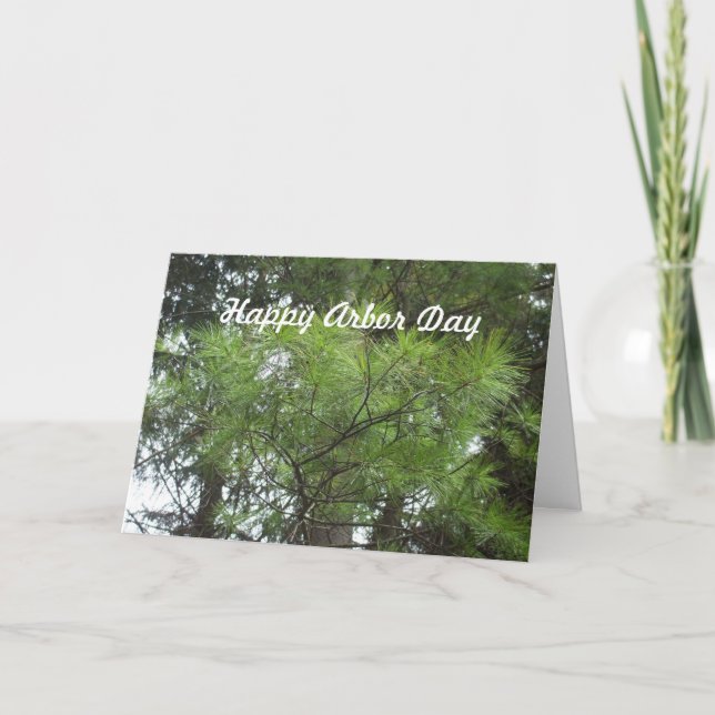 Carte Jour-arbres d'axe (Devant)