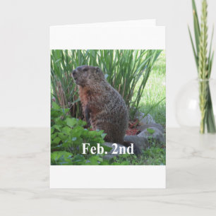 Carte Jour de Groundhog