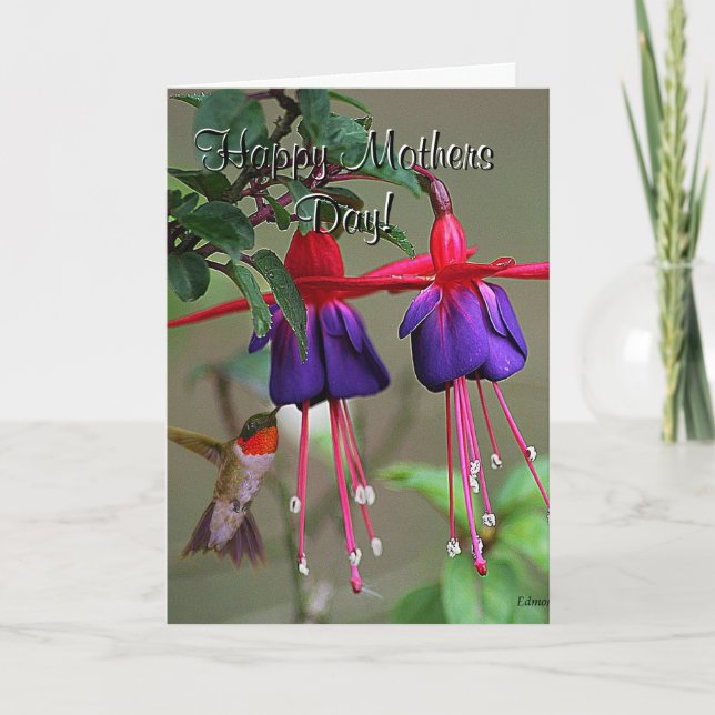 Carte Jour de mères de fuchsia et de colibri (Devant)