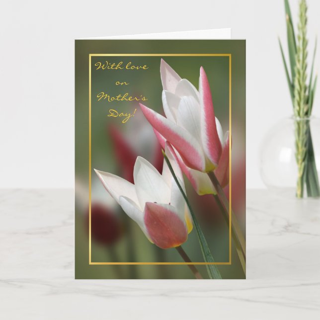 Carte jour de mères de Madame Jane de tulipe (Devant)