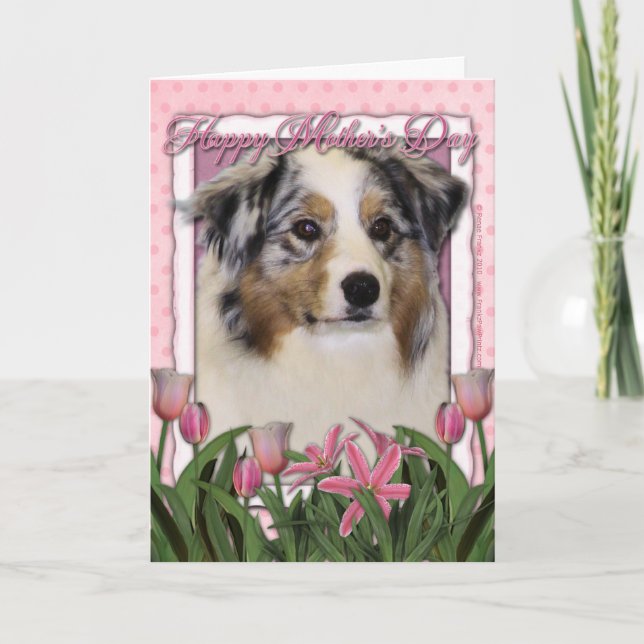 Carte Jour de mères - tulipes roses - berger australien (Devant)