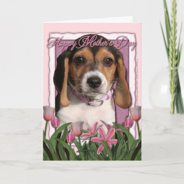 Carte Jour de mères - tulipes roses - chiot de beagle (Devant)