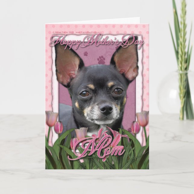 Carte Jour de mères - tulipes roses - chiwawa - Isabella (Devant)