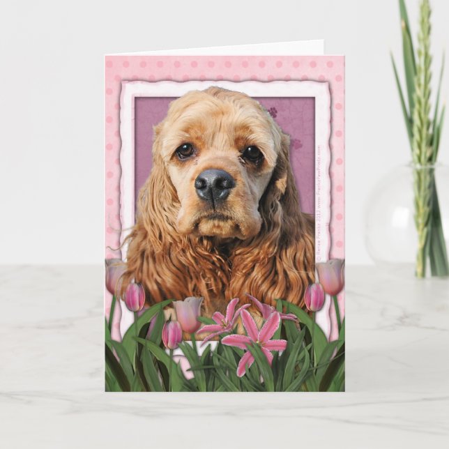 Carte Jour de mères - tulipes roses - cocker (Devant)