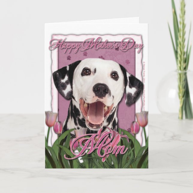 Carte Jour de mères - tulipes roses - Dalmate (Devant)