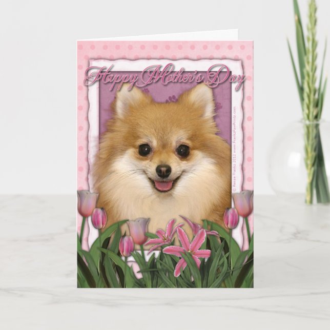 Carte Jour de mères - tulipes roses - Pomeranian (Devant)
