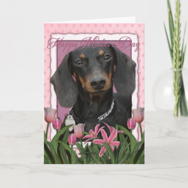 Carte Jour de mères - tulipes roses - teckel - Winston (Devant)