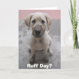Carte Jour de Ruff ?
