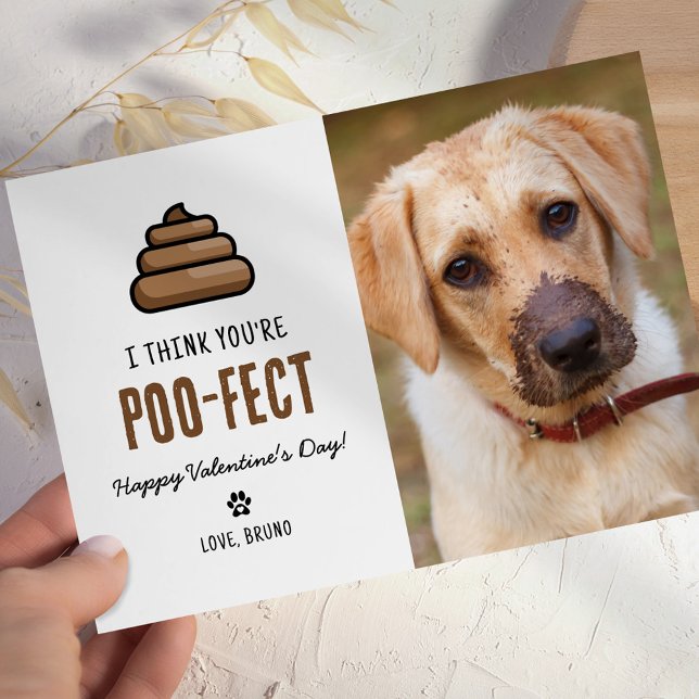 Carte Jour des Valentines pour chien de compagnie drôle (Créateur téléchargé)
