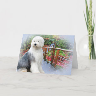 Carte Jour du printemps pour les chiens de mouton anglai