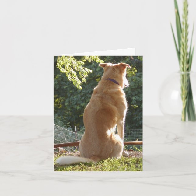 Carte Jour Golden Retriever Valentins (Devant)