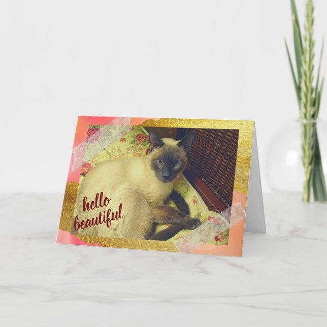 Carte Journée à but pédestre avec collage de chats siamo (Devant)