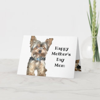 CARTE JOURNÉE DE LA MÈRE AMOUREUX DES CHIENS 