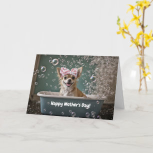 Carte Journee des Meres Cute et Funny Chihuahua Petit Ch