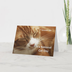 Carte Journée nationale des chats 29 octobre