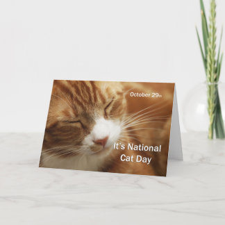 Carte Journée nationale des chats 29 octobre