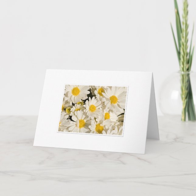 Carte Joy Daisy Salutations (Devant)