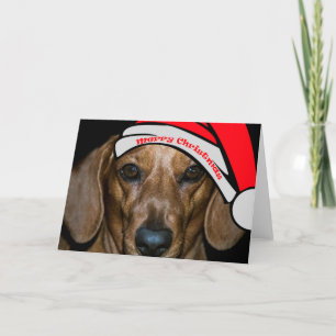 Carte Joyeuse de Noël de Dachsund