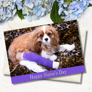 Carte Joyeuse Fête des Infirmières Cavalier King Charles