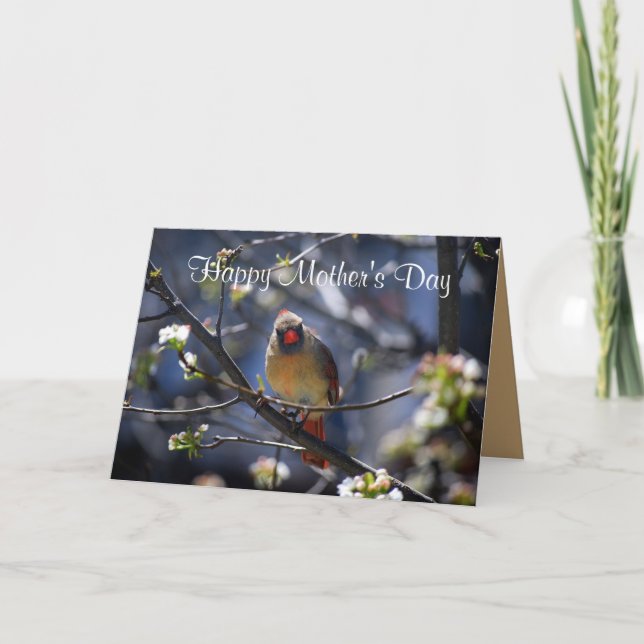 Carte Joyeuse fête des mères Cardinale féminine en Flowe (Devant)