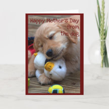 Joyeuse fête des mères du chien