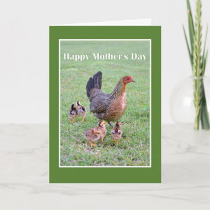 Carte Joyeuse fête des mères Hen et poussins