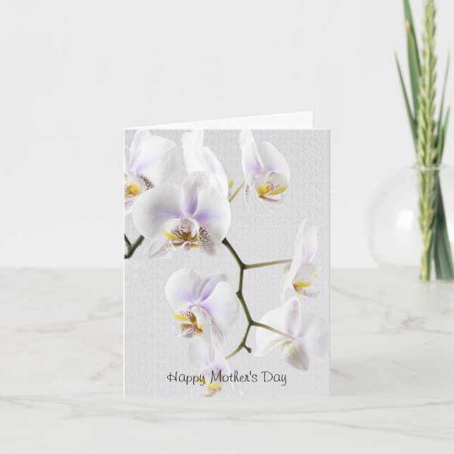 Carte Joyeuse fête des mères - Orchidées blanches (Devant)