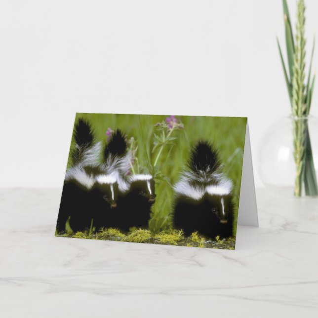 Carte Joyeuse fête des mères Skunk (Devant)