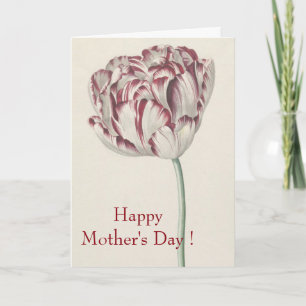 Carte Joyeuse Fête des mères Vintage Tulipe rouge et bla