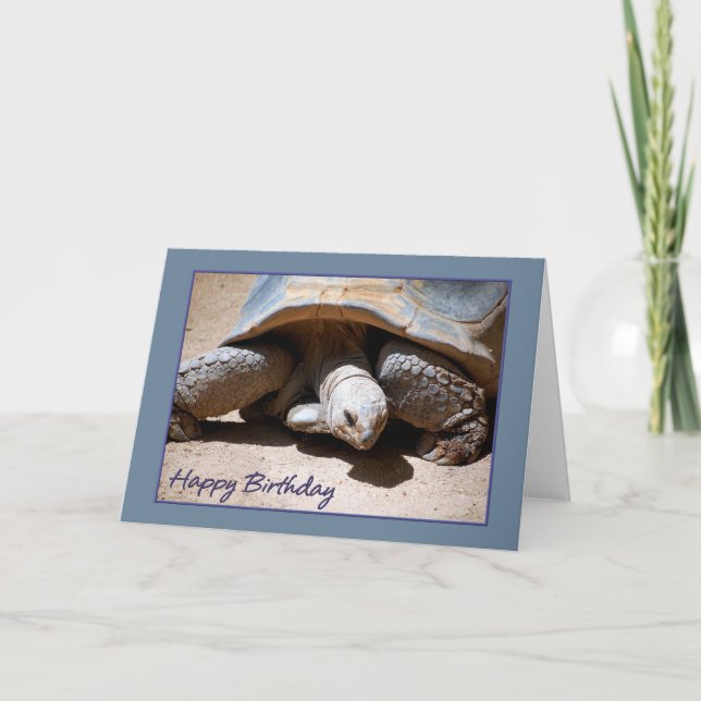 Carte Joyeuse Tortue d'anniversaire (Devant)