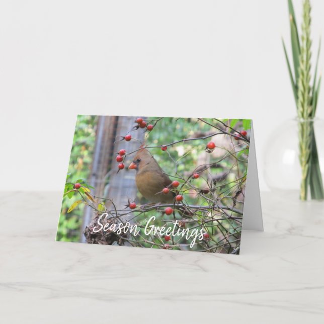 Carte Joyeuses Fêtes, Cardinal d'hiver (Devant)