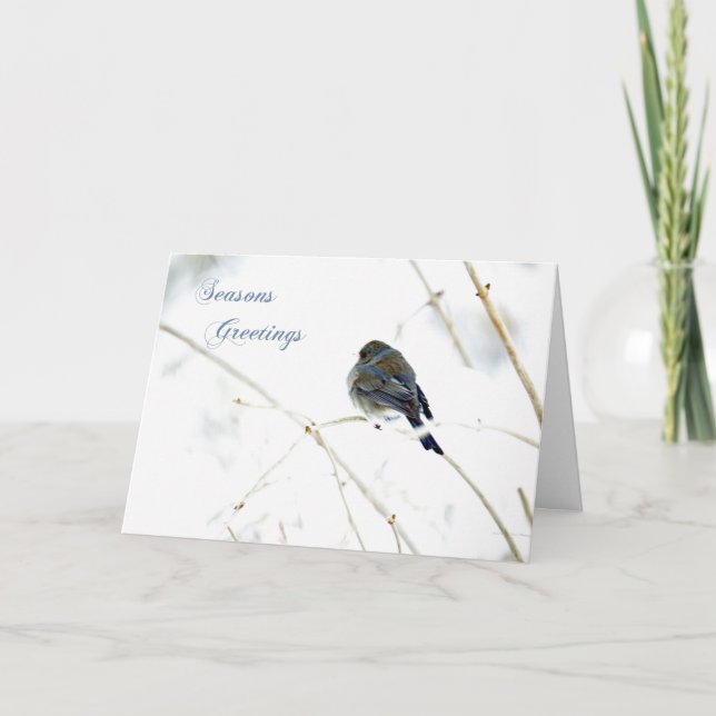 Carte Joyeuses Fêtes - Junco en neige (Devant)