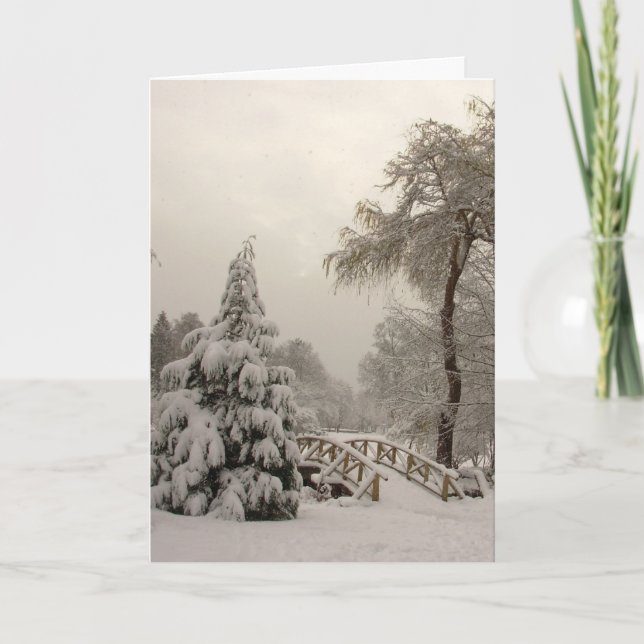Carte Joyeuses Fêtes Winter Wonderland Cartes (Devant)