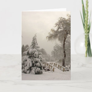 Carte Joyeuses Fêtes Winter Wonderland Cartes