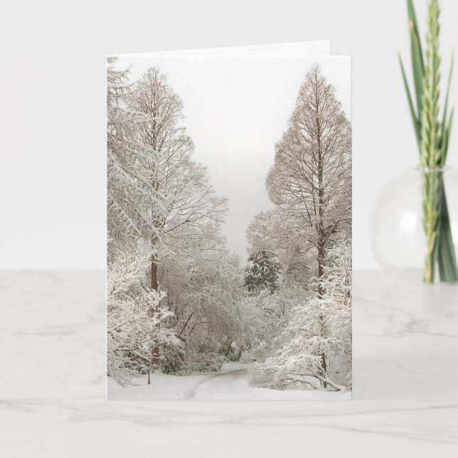 Carte Joyeuses Fêtes Winter Wonderland Cartes (Devant)