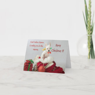 Carte Joyeuses lumières de Noël Père Noël French Buldog 