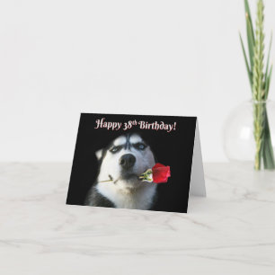 Carte Joyeux 38ème anniversaire avec un chien Husky Cute