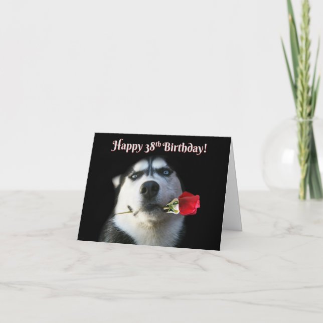 Carte Joyeux 38ème anniversaire avec un chien Husky Cute (Devant)