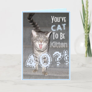 Carte Joyeux 40e anniversaire Funny Chat