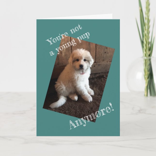 Carte Joyeux Anniversaire (Devant)