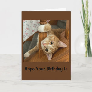 Carte Joyeux anniversaire