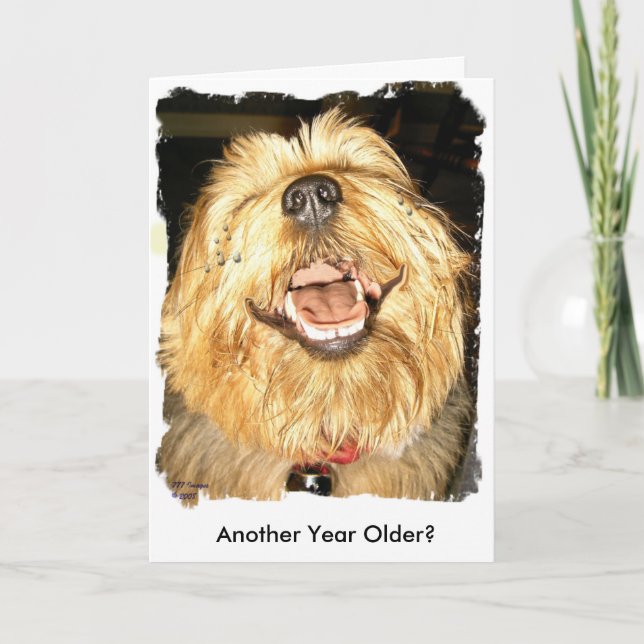 Carte Joyeux anniversaire (Devant)