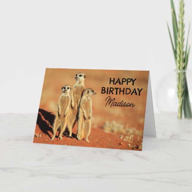 Carte Joyeux Anniversaire | 3 Meerkats (Devant)
