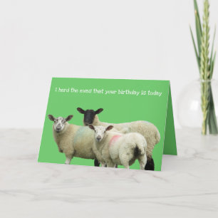 Carte Joyeux anniversaire à Ewe