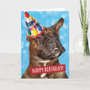 Carte Joyeux anniversaire à la fête animal Boxer Chien
