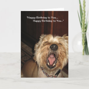 Carte "Joyeux anniversaire à vous" - Chanteur de chien