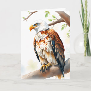 Carte Joyeux anniversaire   Aigle assis sur une branche