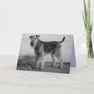 Carte Joyeux Anniversaire Airedale Terrier Chien Chien P