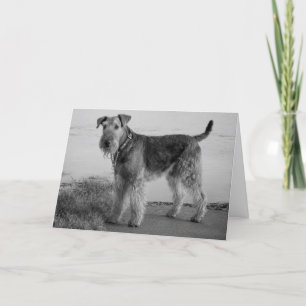 Carte Joyeux anniversaire Airedale Terrier Puppy Dog Car